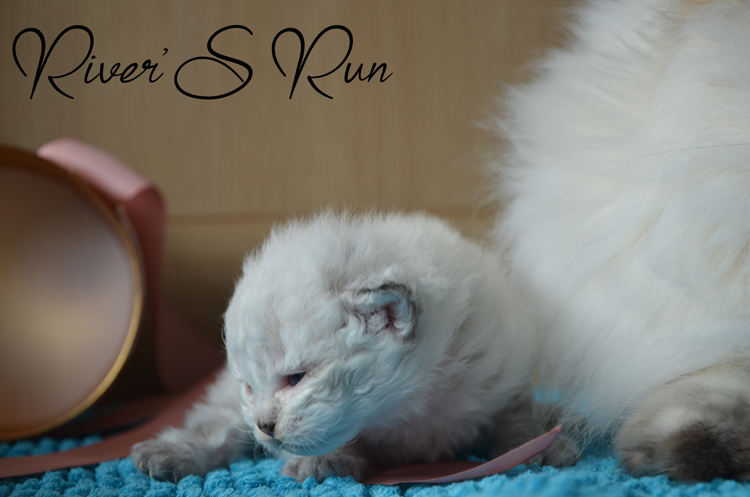 Vicktoria 23 janvier 2024 (8).jpg